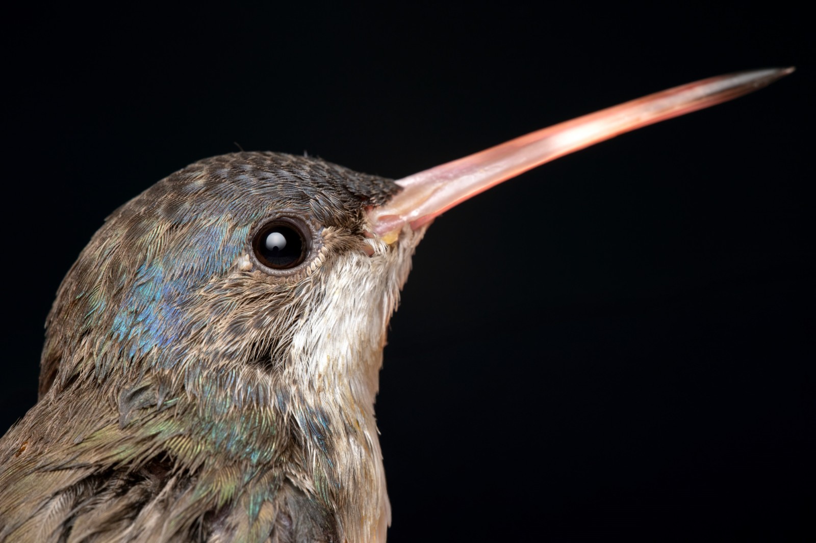 Nicolas Reusens_Sample Photo_06_副本.jpg