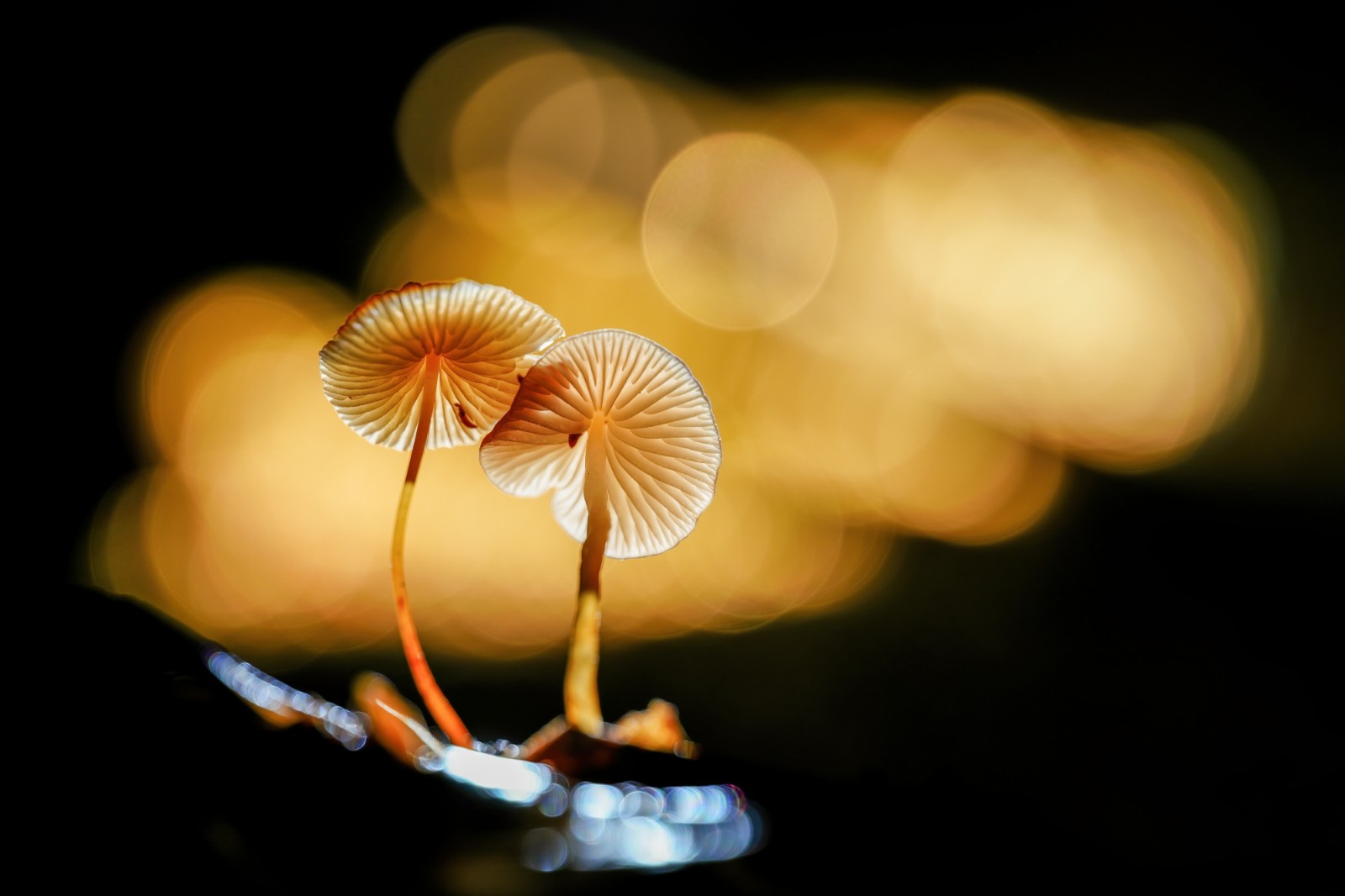 Gua Ge_Sample Photo_29_副本.jpg