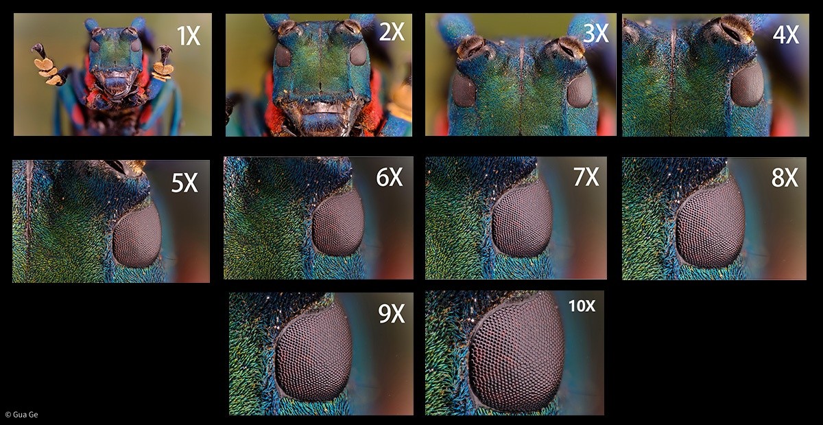 1-10x.jpg