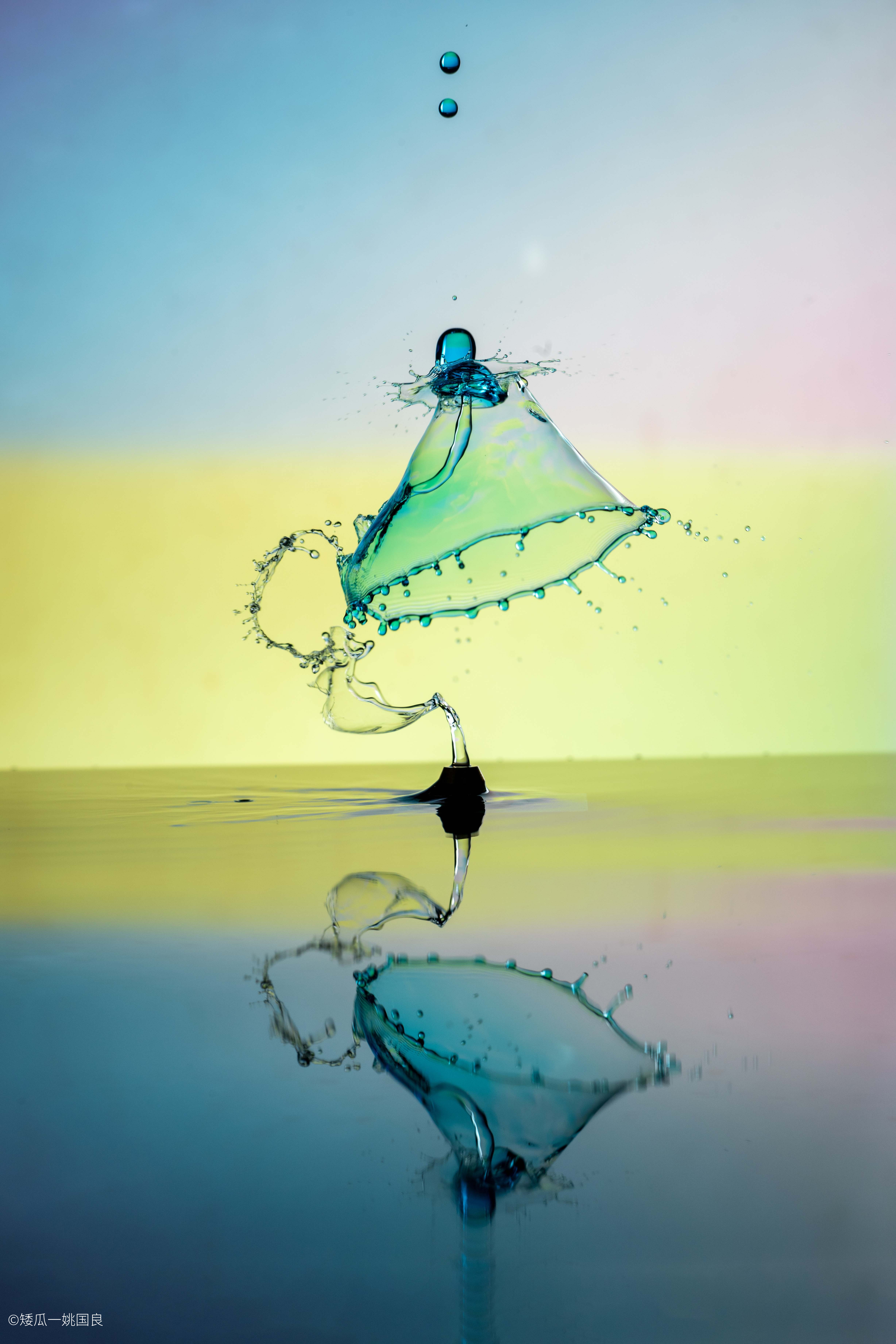 ©矮瓜一姚国良FF 180mm f/4.5 1.5X Ultra Macro APO