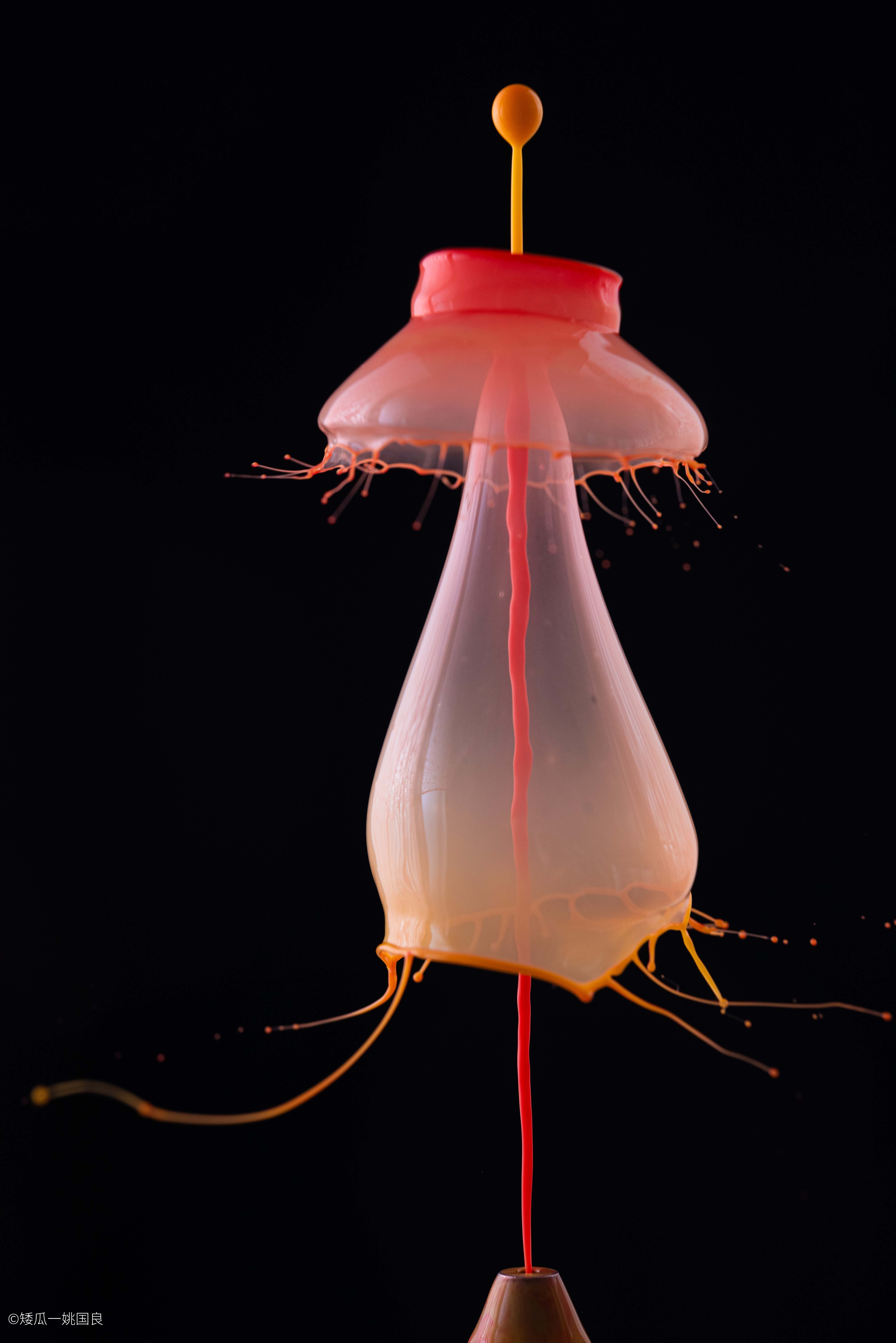 ©矮瓜一姚国良FF 180mm f/4.5 1.5X Ultra Macro APO