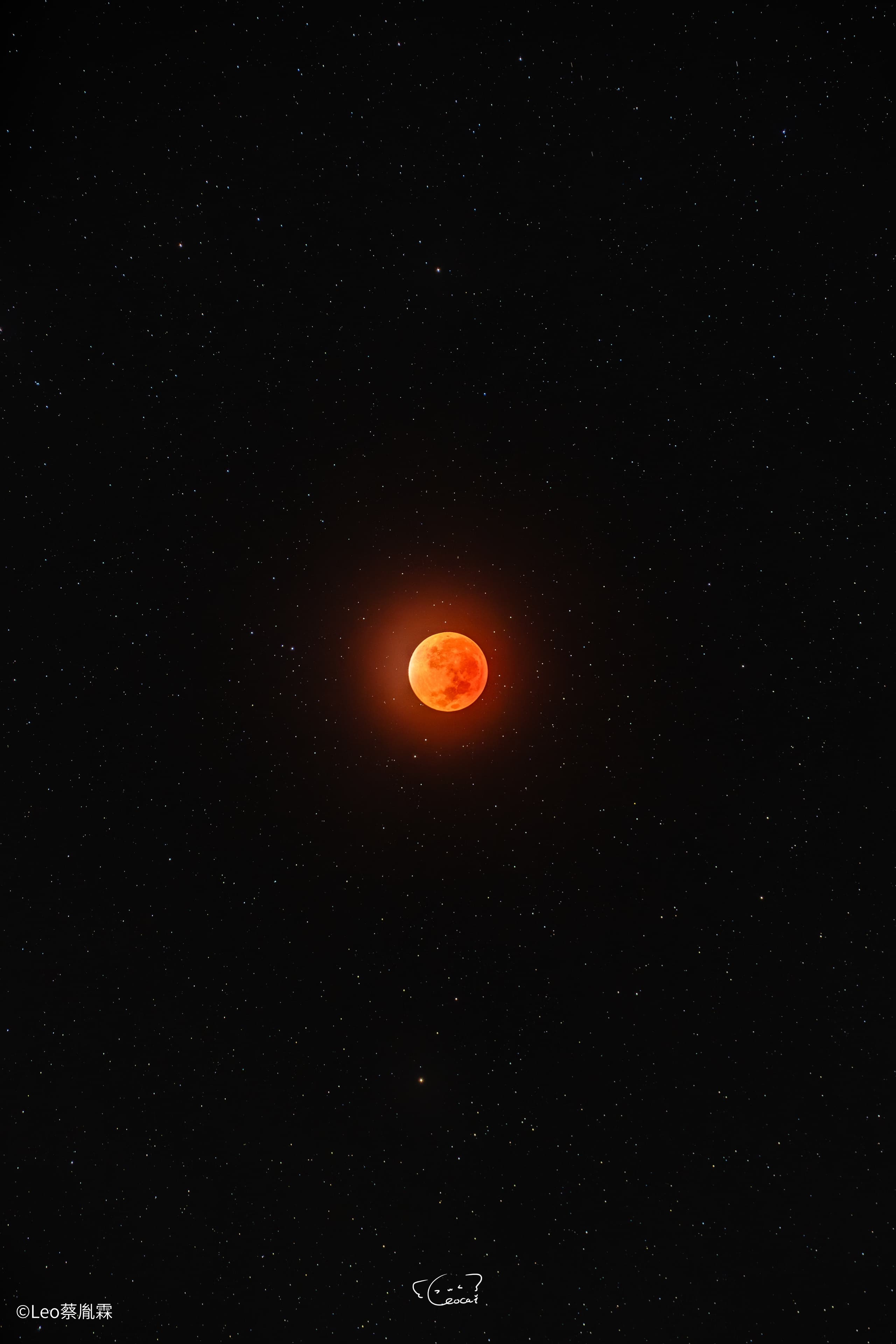 ©Leo蔡胤霖AF FF 200mm F2.0 C-Dreamer