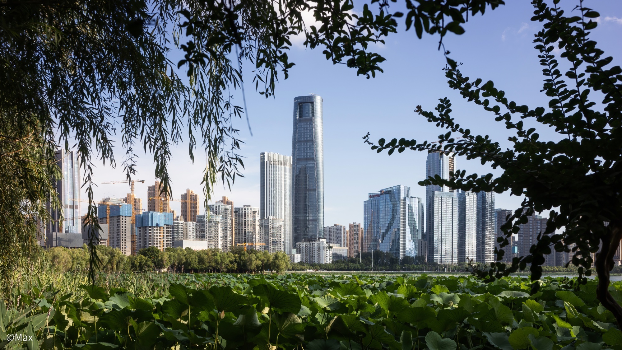 ©MaxFFⅡ TS 35mm F2.8 C-Dreamer Macro 0.5X