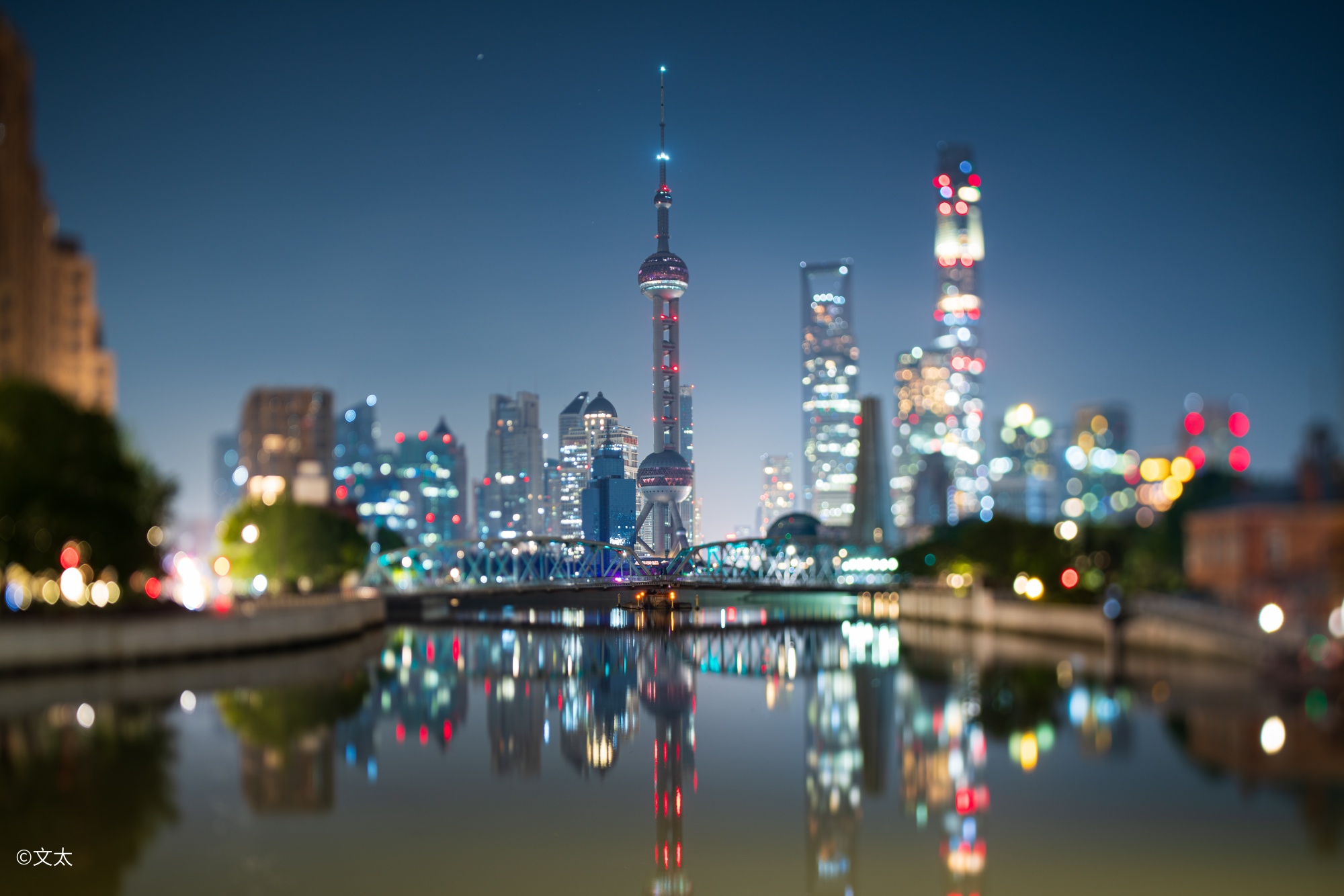 ©文太FFⅡ TS 35mm F2.8 C-Dreamer Macro 0.5X