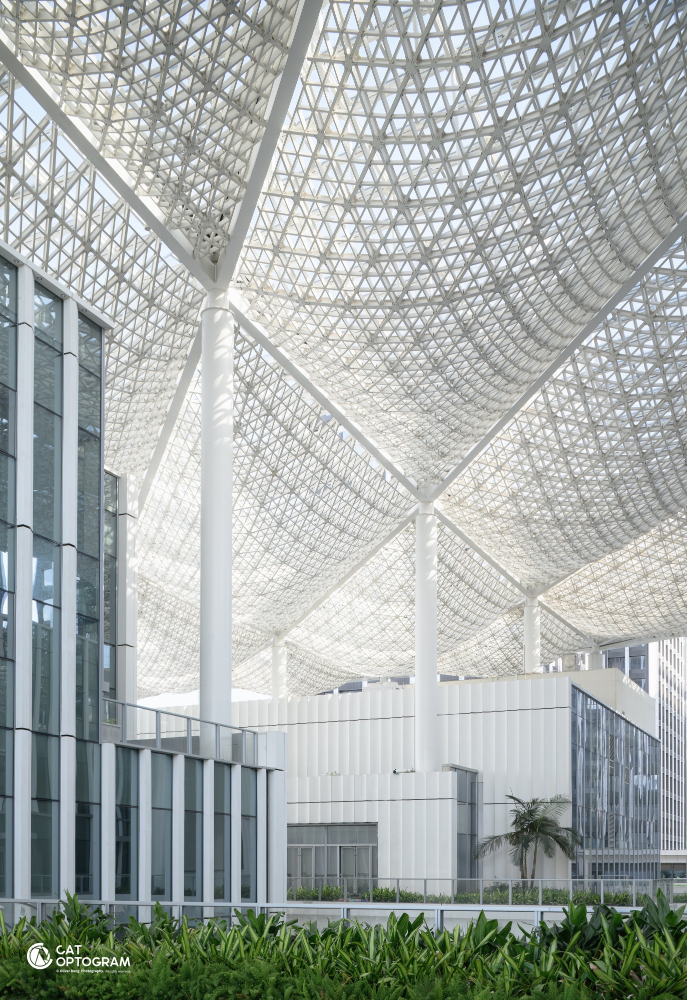 ©猫瞳CATOPTOGRAMFFⅡ TS 35mm F2.8 C-Dreamer Macro 0.5X