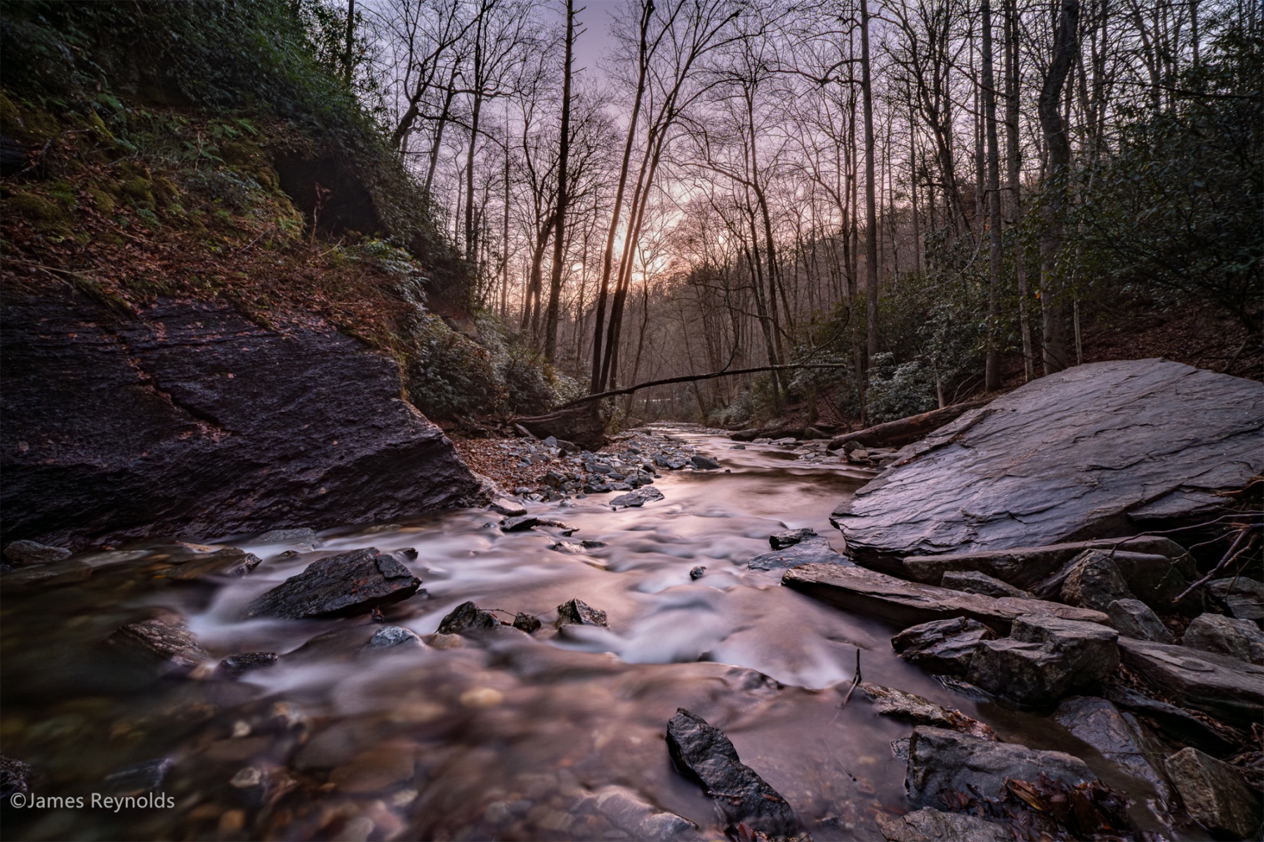 ©James ReynoldsFFⅡ 15mm F5.0 Cookie
