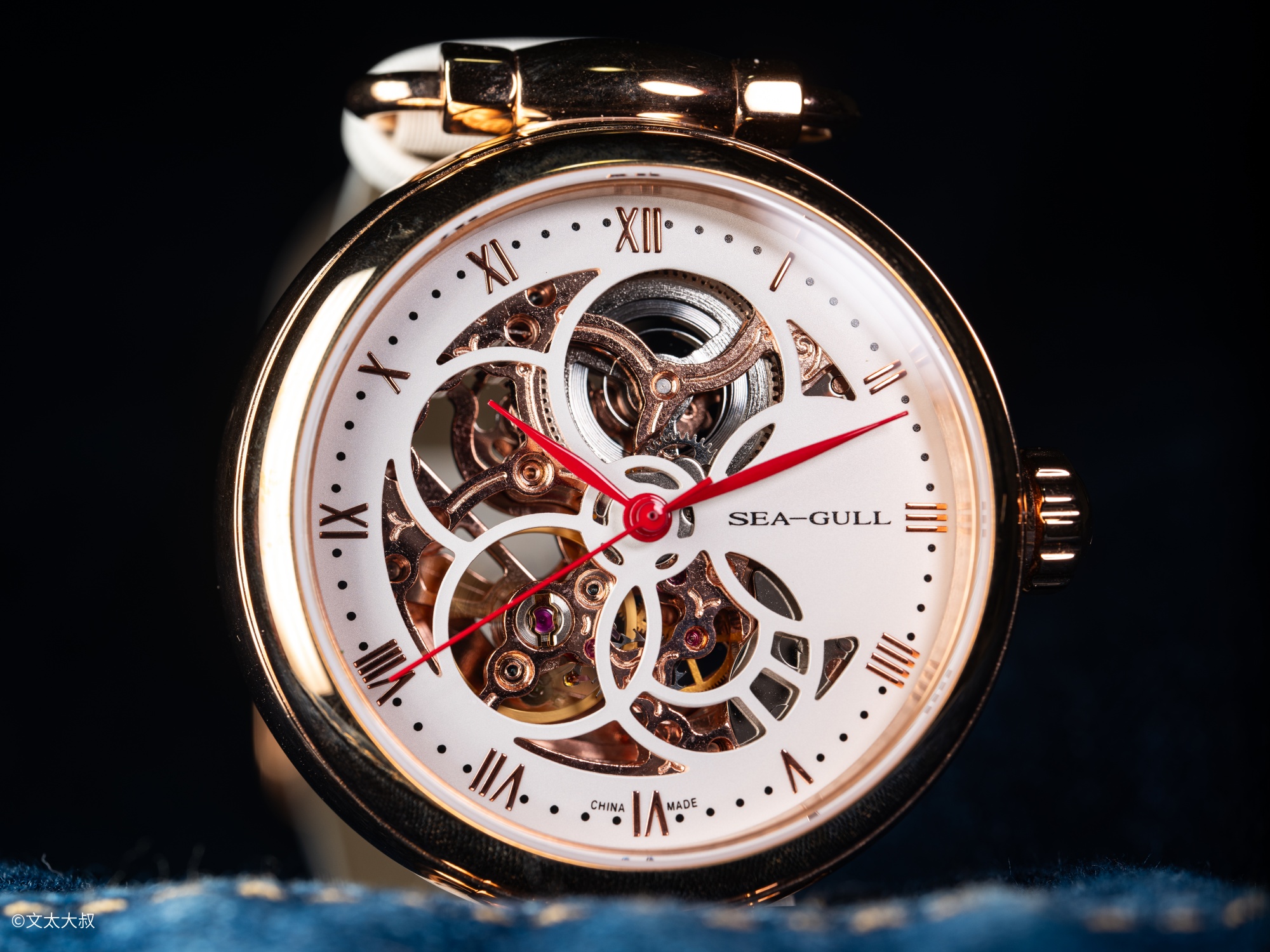 ©文太大叔 FFⅡ TS 55mm F2.8 Macro 1X