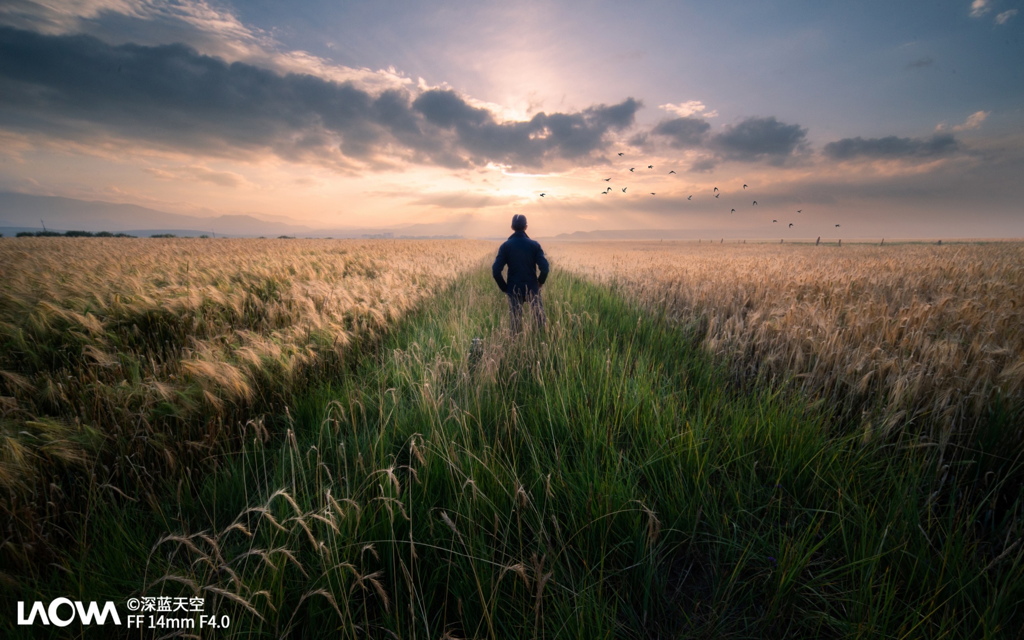 ©深蓝天空FFⅡ 14mm F4.0 C&D-Dreamer DSLR