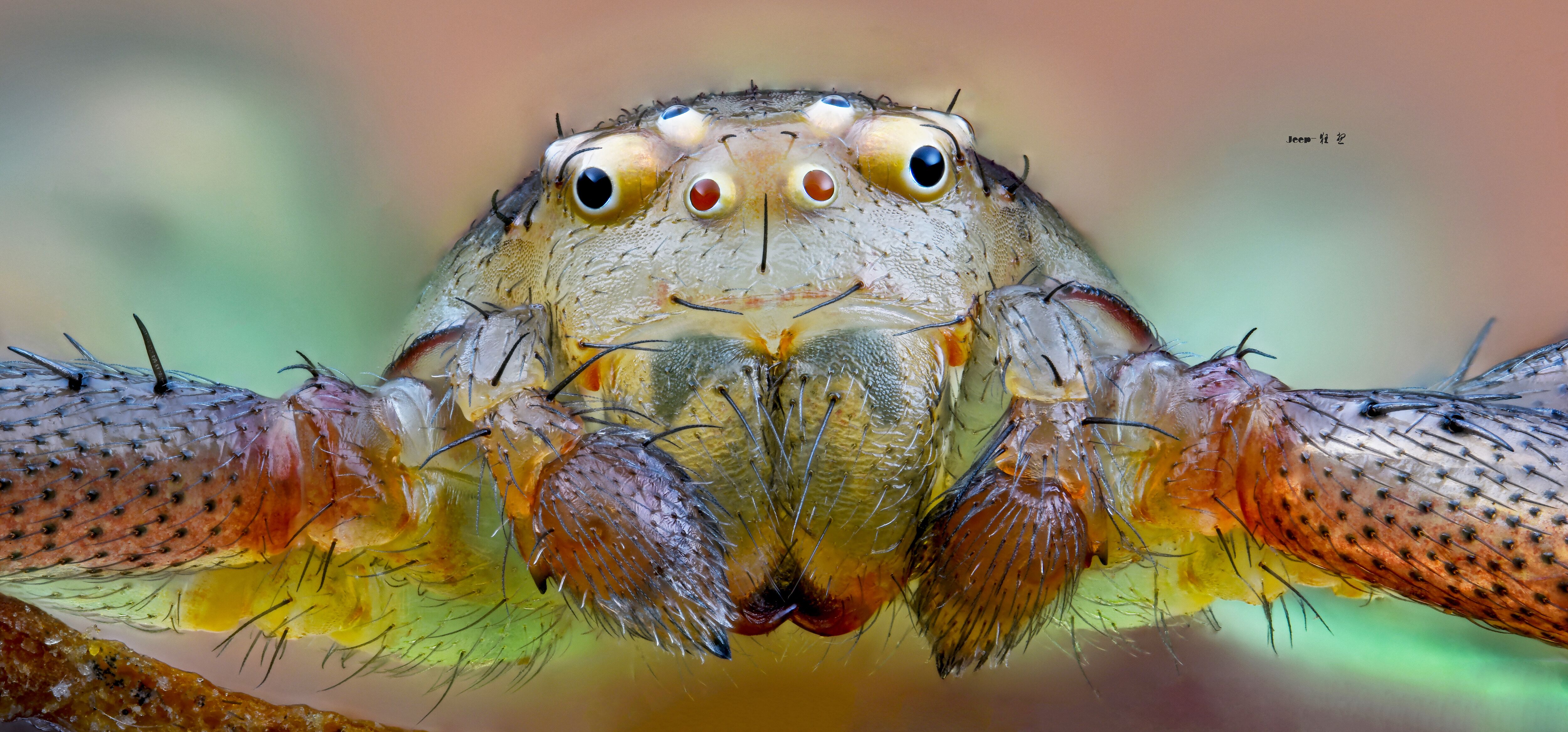 ©KuangxiangAurogon FF 10-50x NA0.5 Supermicro APO