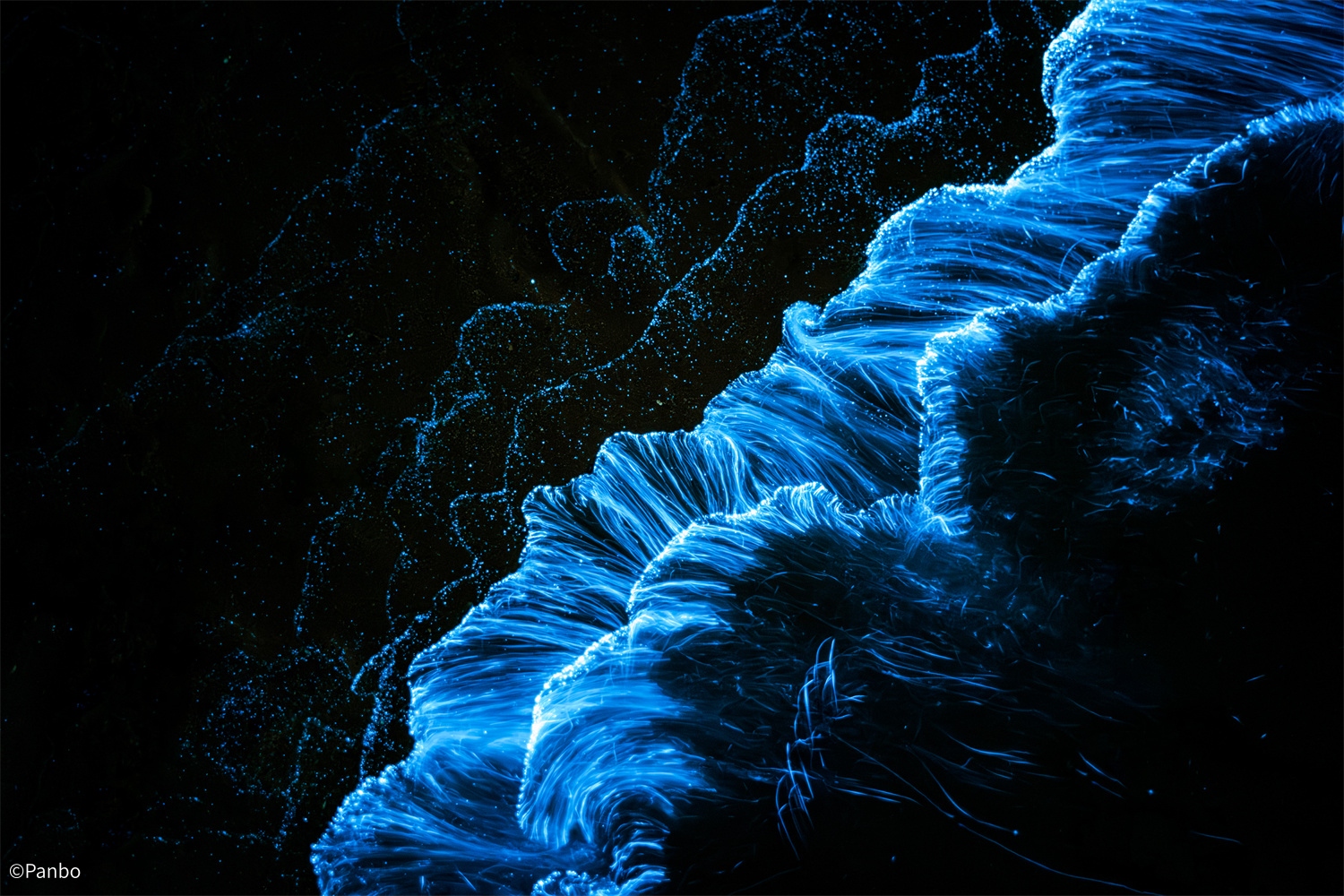 ©Panbo FFⅡ Argus 28mm F1.2