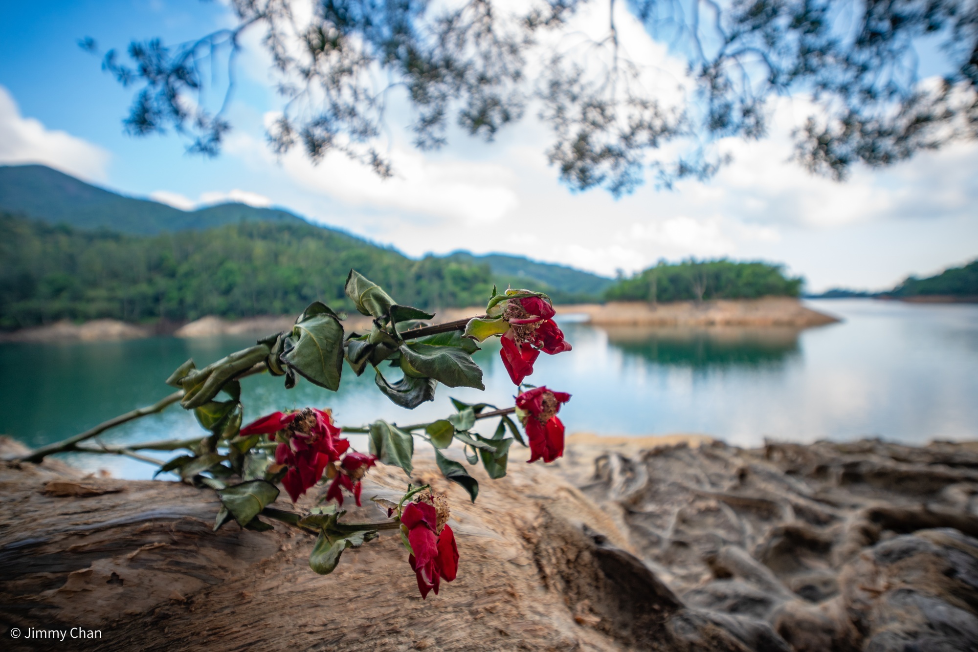 © Jimmy Chan CF 10mm F4.0 Cookie