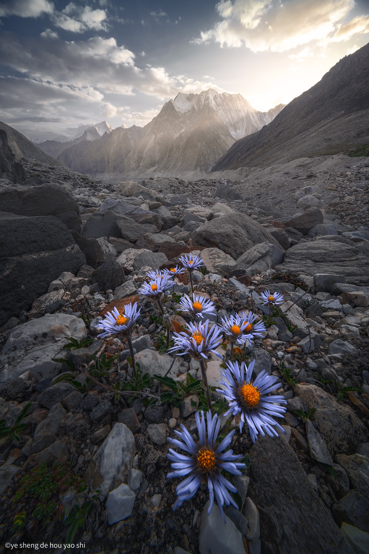 ©ye sheng de hou yao shiFFⅡ 12-24mm F5.6 C-Dreamer