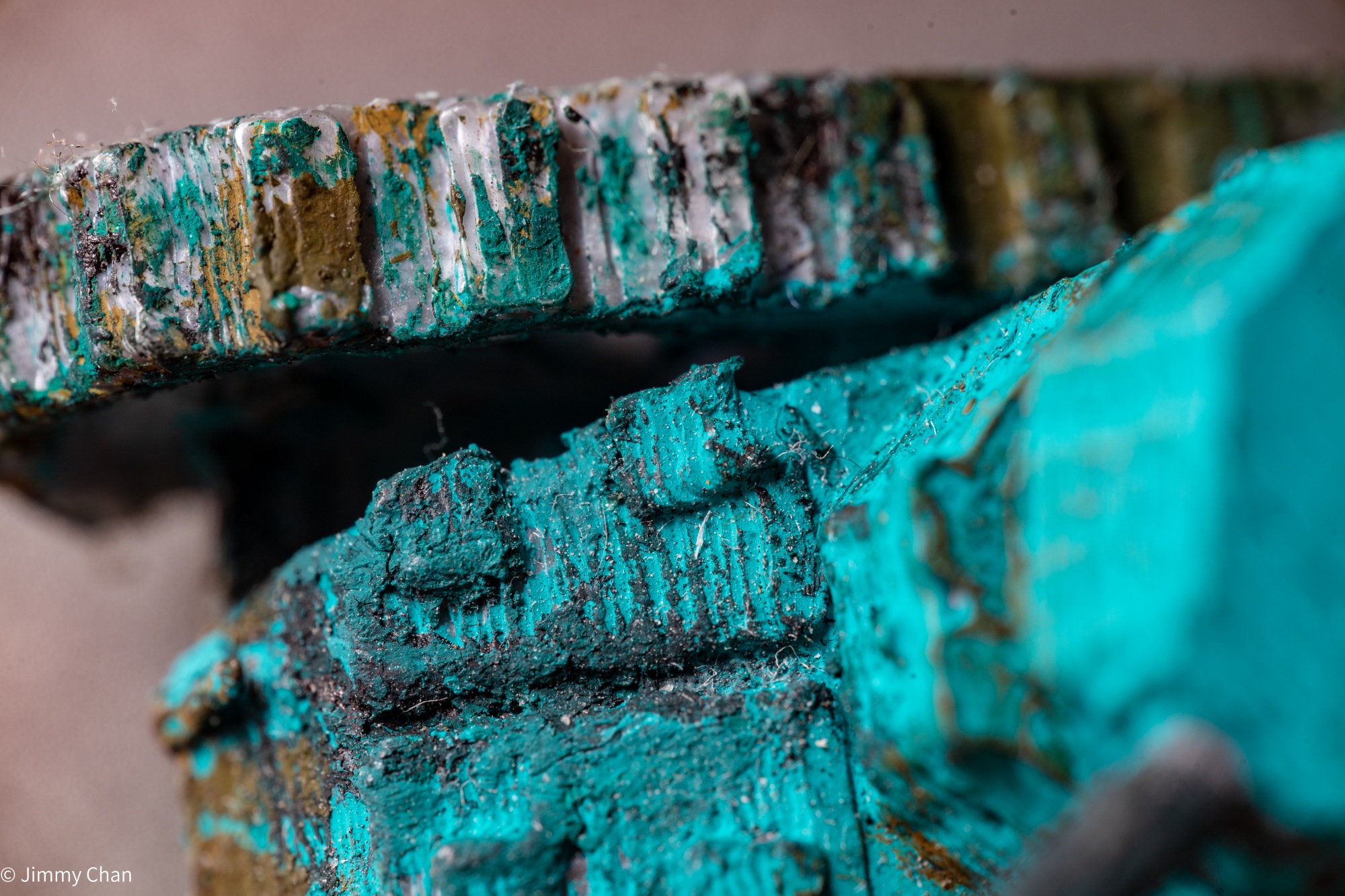 © Jimmy ChanMini FFII 85mm F5.6 Macro 2:1