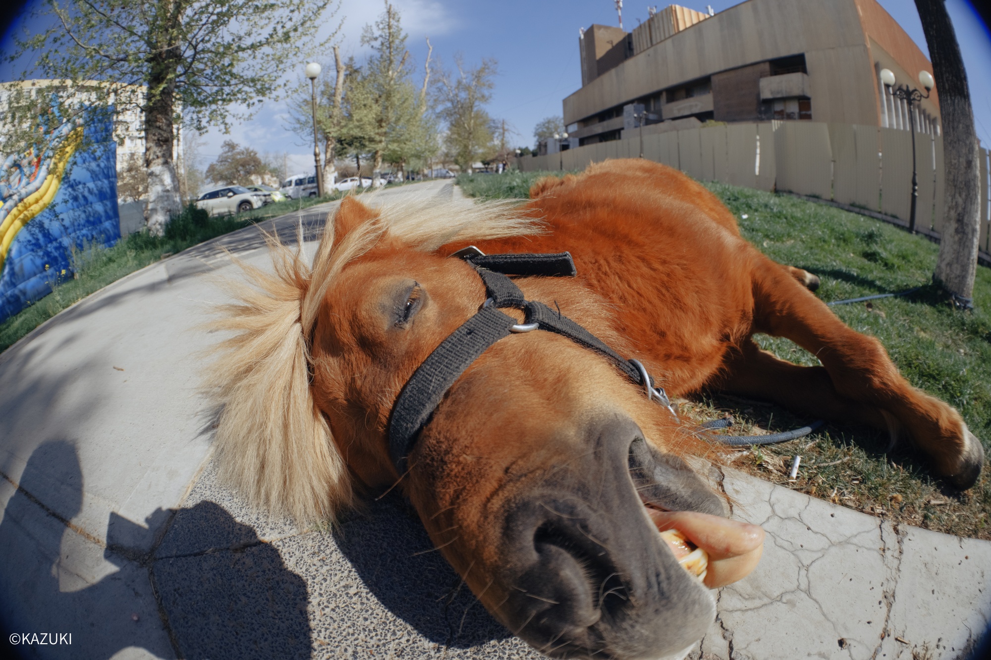 ©KAZUKI CF 4.5-10mm F2.8 FISHEYE ZOOM