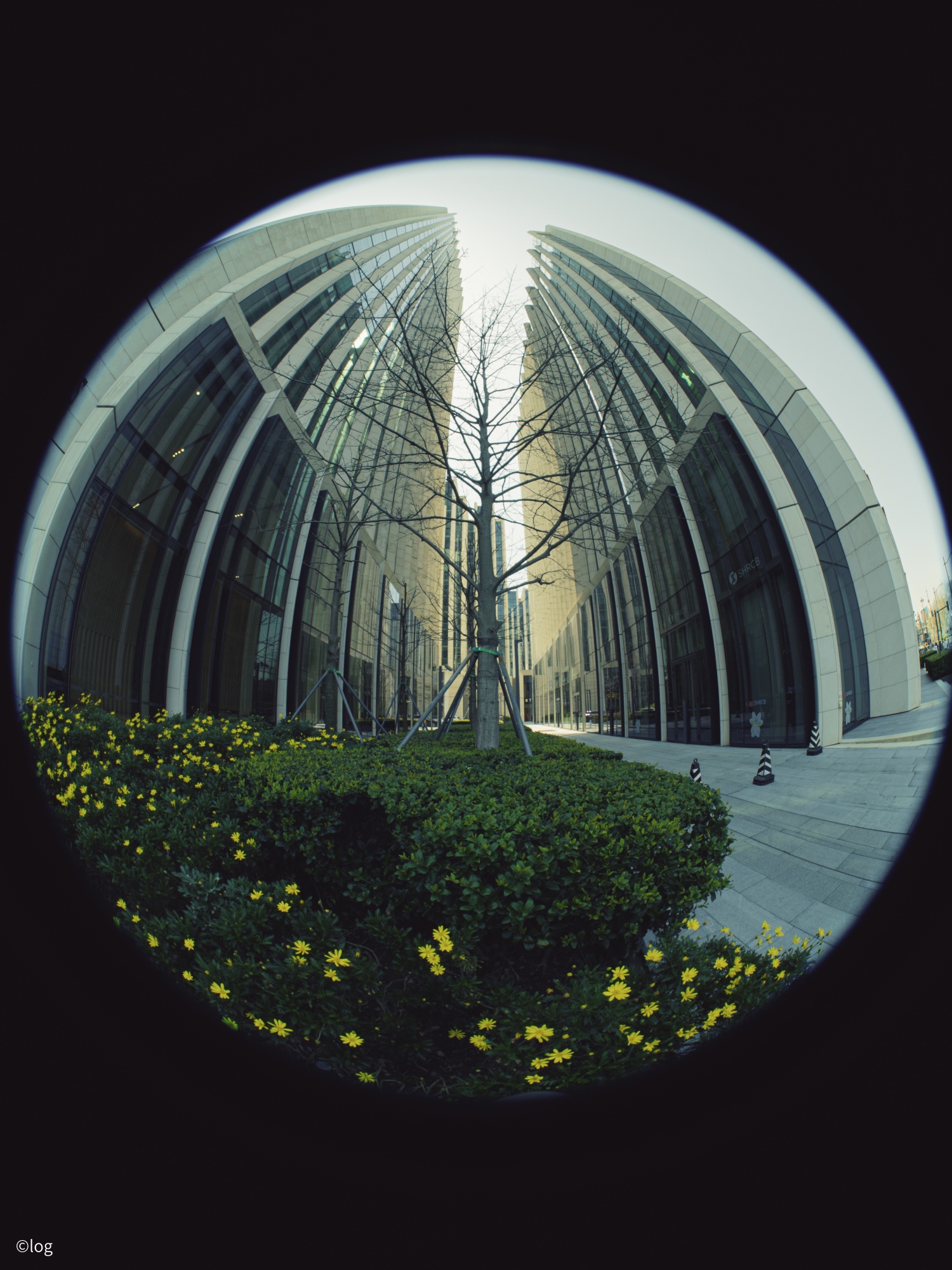 ©logCF 4.5-10mm F2.8 FISHEYE ZOOM