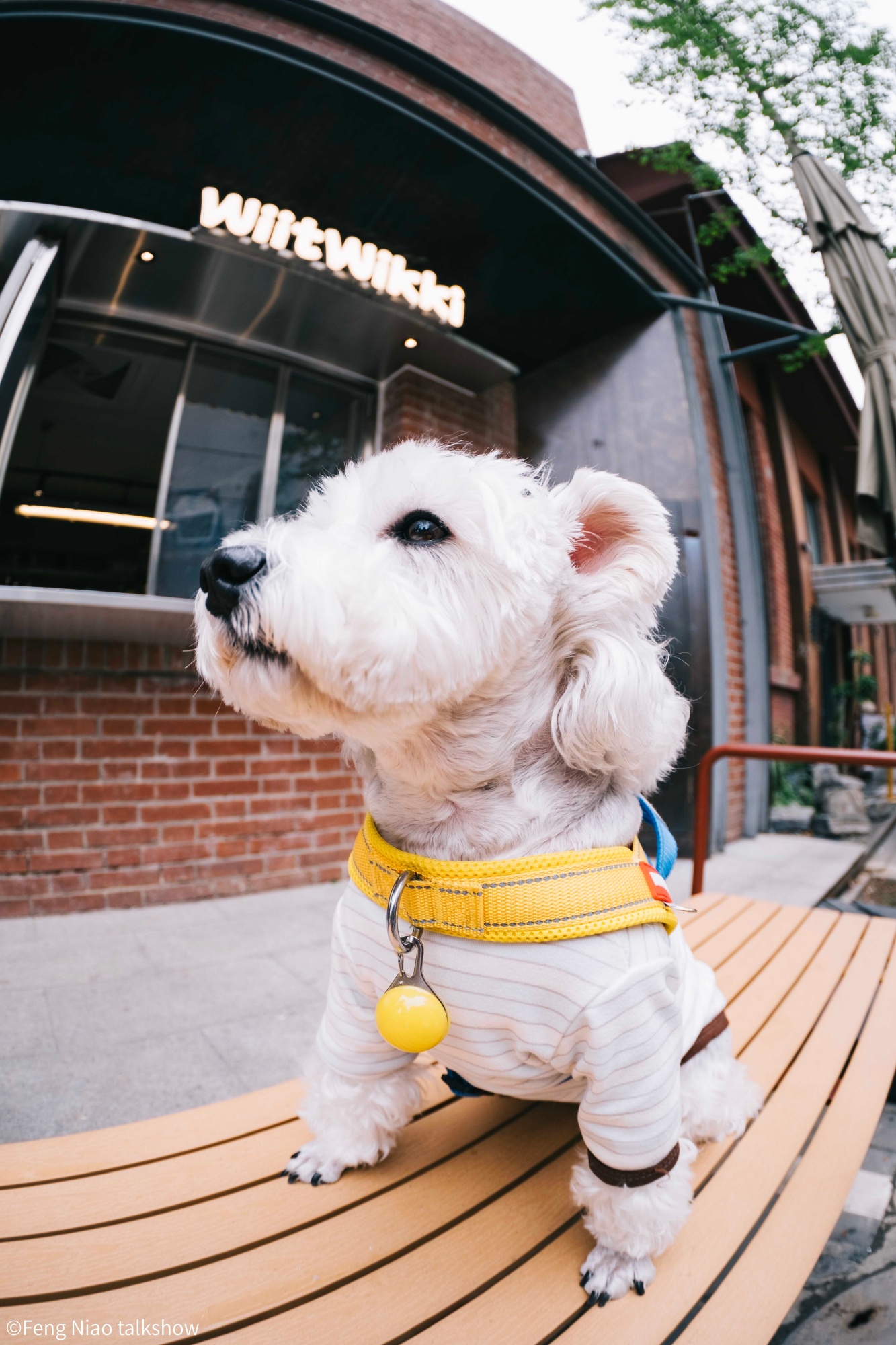 ©Feng Niao talkshowCF 4.5-10mm F2.8 FISHEYE ZOOM