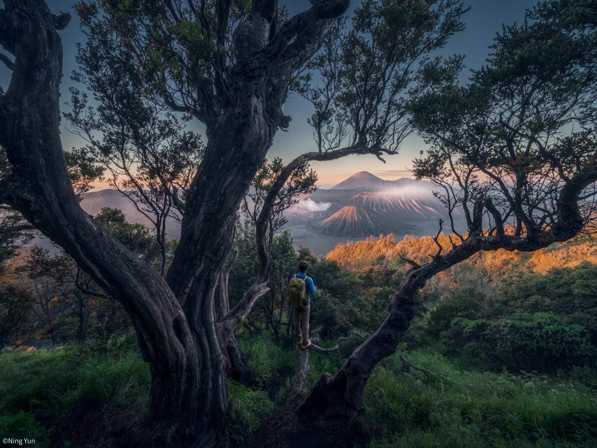 ©Ning YunGF 17mm F4.0 D-Dreamer