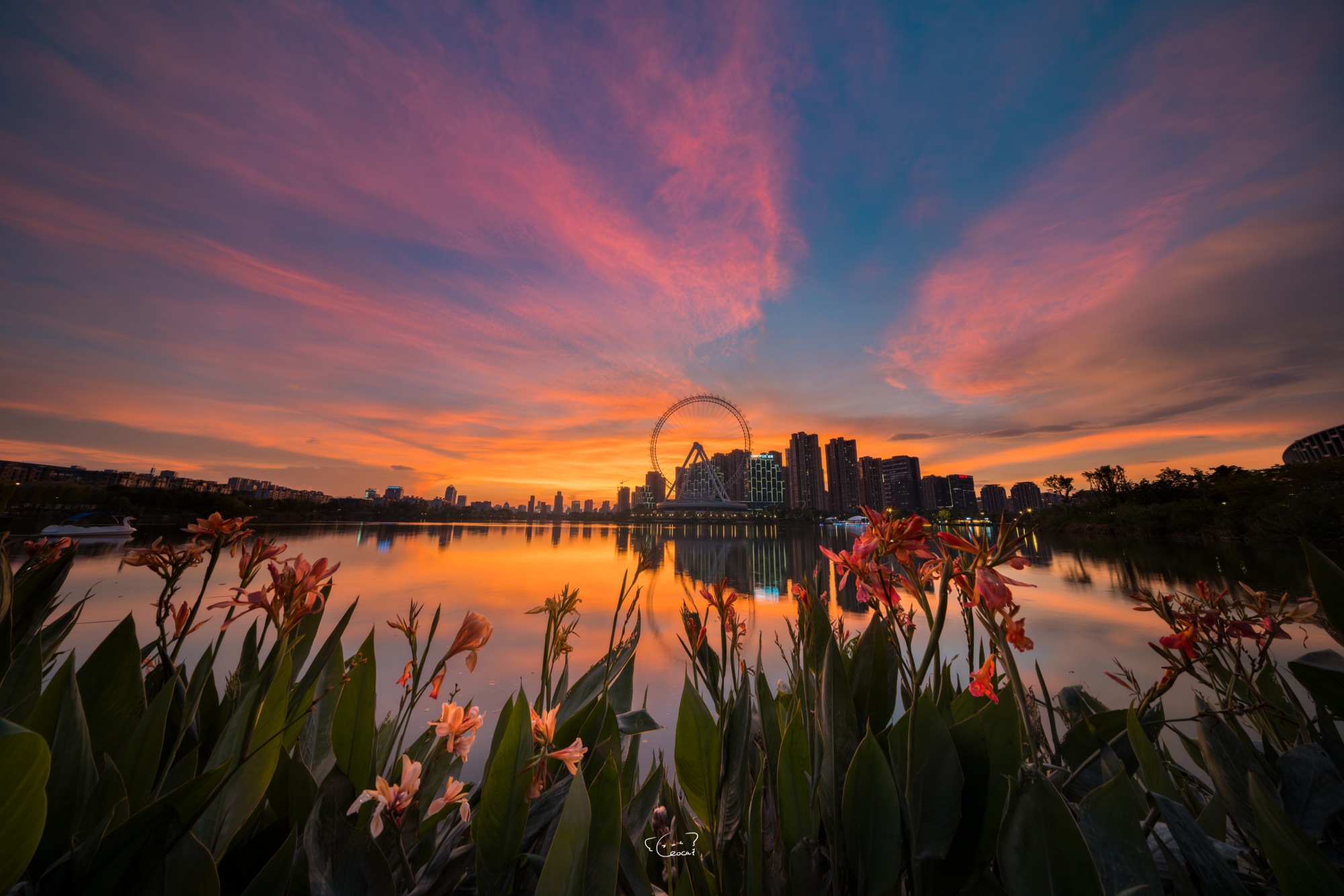 ©Leo Cai Yin LinFFⅡ 9mm F5.6 W-Dreamer