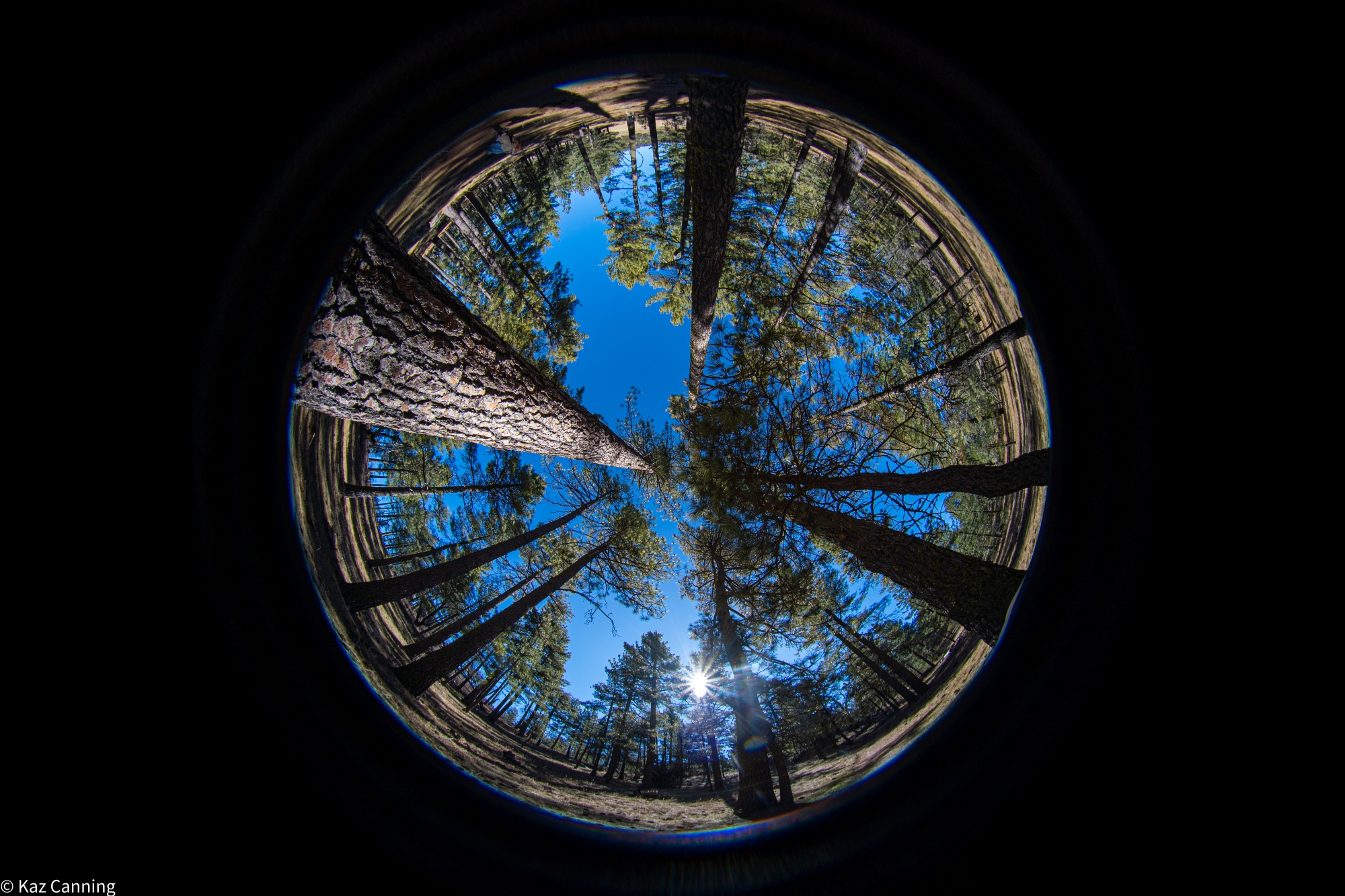 © Kaz CanningCF 4mm F2.8 210° Circular Fisheye